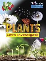 Plants: Let's Investigate (Owen Ruth)(Paperback / softback)