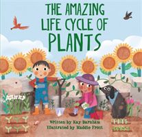 Look and Wonder: The Amazing Plant Life Cycle Story (Barnham Kay)(Paperback / softback)