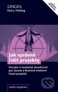 Jak správně řídit projekty - Paul J. Fielding