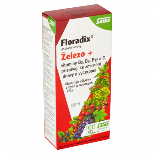 Floradix Železo + vitamíny 250ml