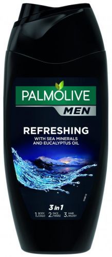 Palmolive Sprchový gel pro muže 2v1 na tělo a vlasy For Men (Refreshing 2 In 1 Body & Hair Shower Shampoo) 250 ml