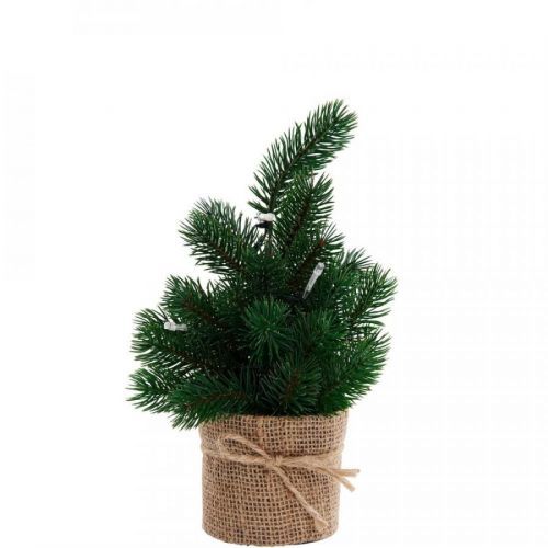 TREE OF THE MONTH Vánoční stromek s LED světly 30 cm