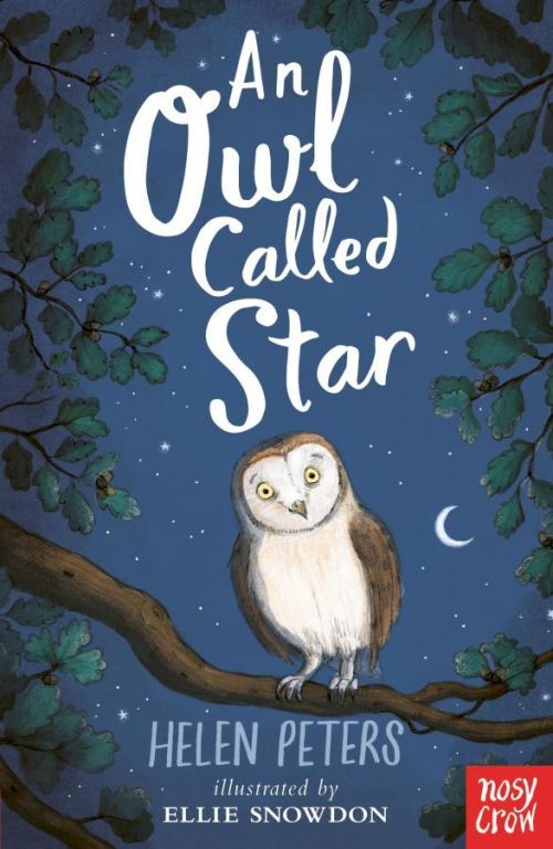 Owl Called Star (Peters Helen)(Paperback / softback)