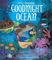 Goodnight Ocean (Davies Becky)(Novelty book)