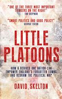 Little Platoons - How a revived One Nation can empower England's forgotten towns and redraw the political map (Skelton David)(Paperback / softback)