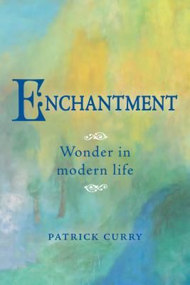 Enchantment - Wonder in Modern Life (Curry Patrick)(Paperback / softback)