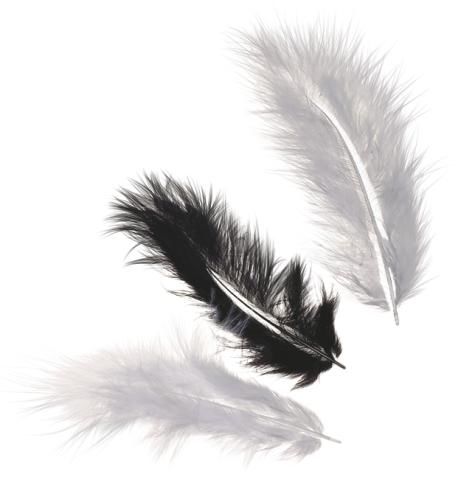 Dekorativní peříčka Marabu mix - černá, bílá 15 ks / 10 cm