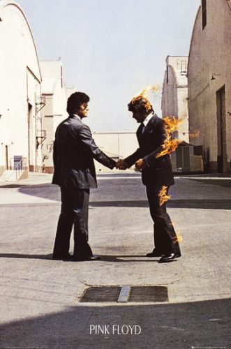Plakát 61x91,5cm - Pink Floyd - Wish You Were