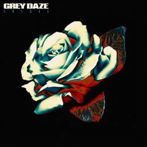 Grey Daze: Amends - LP - Grey Daze, Ostatní (neknižní zboží)