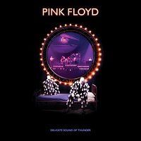 Pink Floyd – Delicate Sound Of Thunder (Restored - Re-Edited - Remixed) BD+CD+DVD