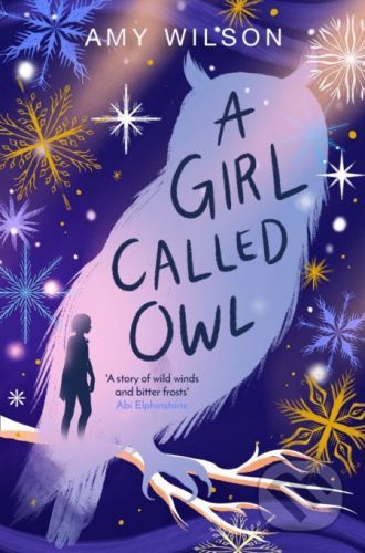 A Girl Called Owl - Amy Wilson