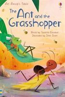 Ant and the Grasshopper (Davidson Susanna)(Pevná vazba)