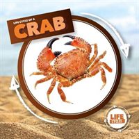 Crab (Holmes Kirsty)(Pevná vazba)