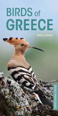 Birds of Greece (Nason Rebecca)(Paperback / softback)
