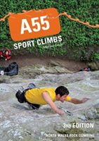 A55 Sport Climbs (Doyle Michael)(Paperback / softback)