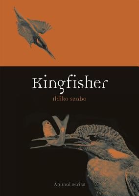 Kingfisher (Szabo Ildiko)(Paperback / softback)