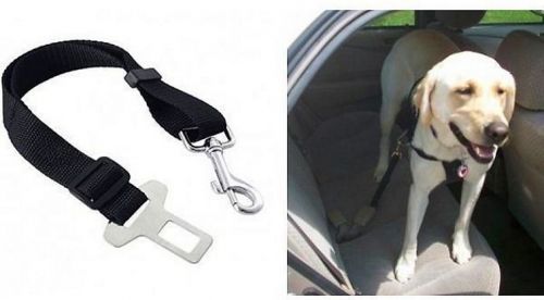 Cars shop Bezpečnostní pás pro psa - BR4074