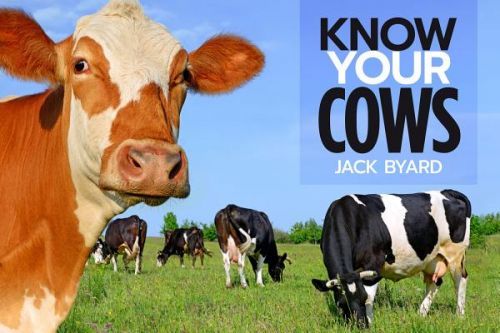 Know Your Cows (Byard Jack)(Paperback / softback)