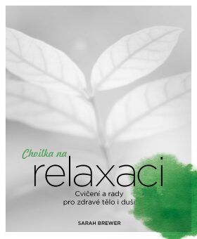 Chvilka na relaxaci - Sarah Brewerová