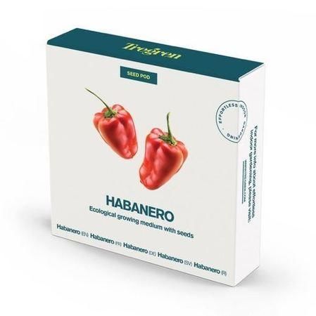 TREGREN Chilli papričky Habanero (kapsle se semeny, 4 ks)