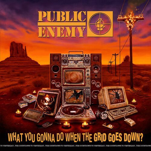 What You Gonna Do When the Grid Goes Down? (Public Enemy) (Vinyl / 12