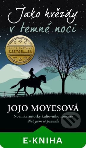 Jako hvězdy v temné noci - Jojo Moyes