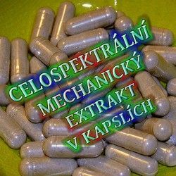 Třezalka kapsle 500mg, Počet kapslí 50