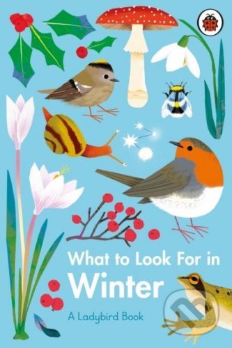 What to Look For in Winter - Elizabeth Jenner, Natasha Durley (ilustrátor)