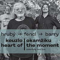 Jan Hrubý, Ondřej Fencl, Sean Barry – Kouzlo okamžiku MP3