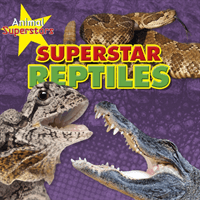 Reptile Superstars (Spilsbury Louise)(Paperback / softback)