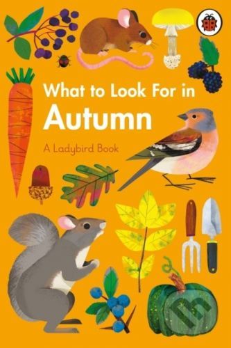 What to Look For in Autumn - Elizabeth Jenner