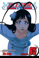 Bleach, Vol. 65 (Kubo Tite)(Paperback)