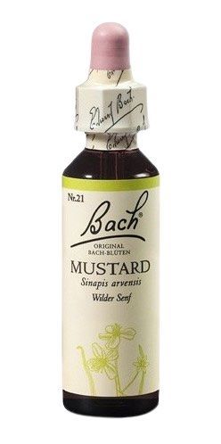 Dr. Bach  Bach® Mustard 20ml