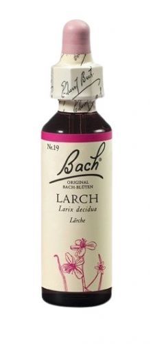 Dr. Bach  Bach® Larch 20ml