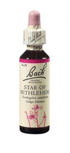 Dr. Bach  Bach® Star of Bethlehem 20ml