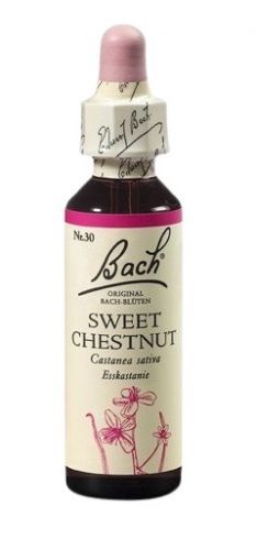 Dr. Bach  Bach® Sweet Chestnut 20ml