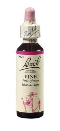 Dr. Bach  Bach® Pine 20ml