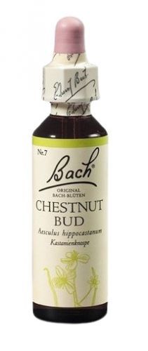 Dr. Bach  Bach® Chestnut Bud 20ml