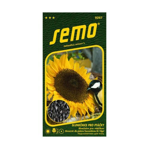 Slunečnice roční pro ptáčky
