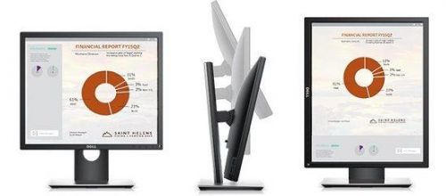 DELL Professional P1917S LCD 19