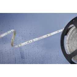 LED pásek Barthelme Basic 51540434 51540434, 12 V/DC, 5 m