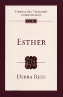 Esther - An Introduction and Survey (Reid Debra)(Paperback / softback)