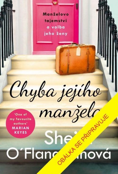 Chyba jejího manžela - O'Flanaganová Sheila