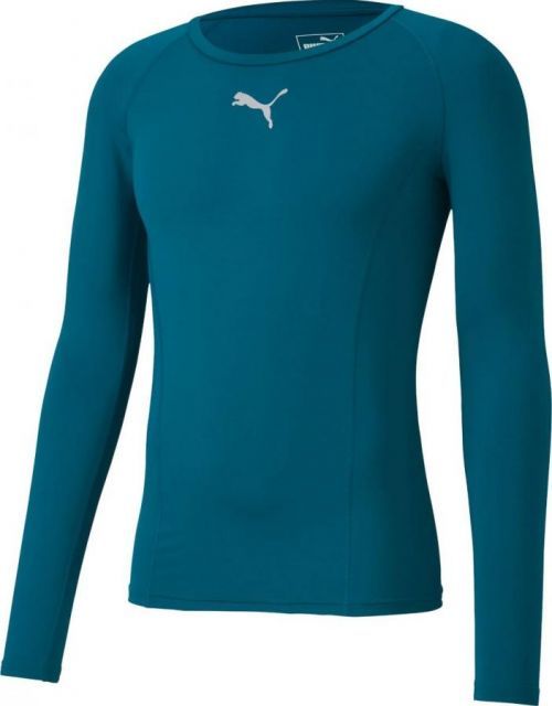 Pánské sportovní tričko Puma zelené (655920 27) M