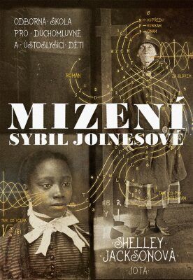 Mizení Sybil Joinesové - Jacksonová Shelley