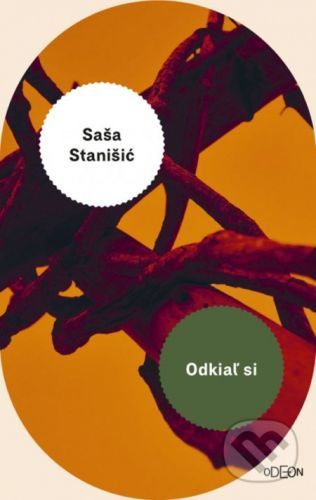 Odkiaľ si - Saša Stanišić