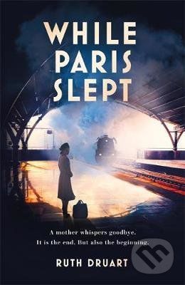 While Paris Slept - Ruth Druart