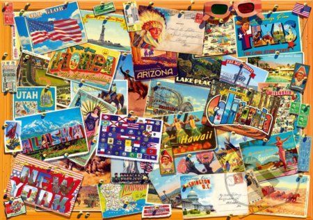 Postcard (USA) - Bluebird