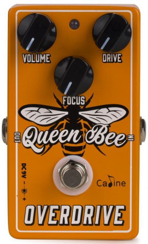 Caline QUEEN BEE OVERDRIVE