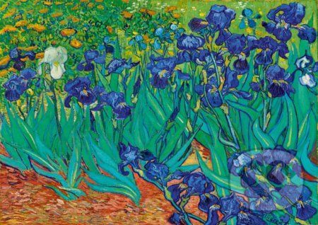 Vincent Van Gogh - Irises, 1889 - Bluebird